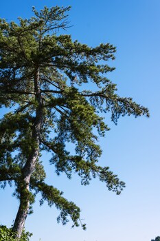 le domaine des carriers gites