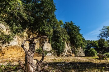 le domaine des carriers gites