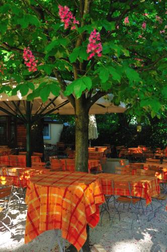 austria classic holle hotel salzburg