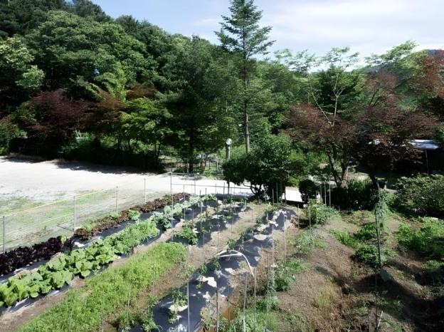 pocheon haneulbat pension