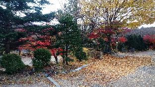 pocheon haneulbat pension