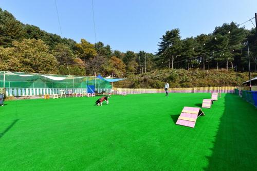 gapyeong