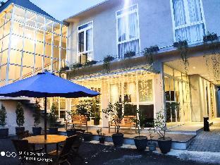 zoe guest house