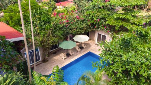 jaco lodge adults only