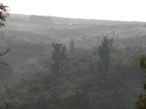 seagull resotel formerly forest inn