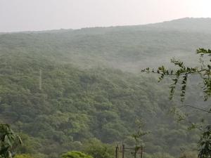 seagull resotel formerly forest inn