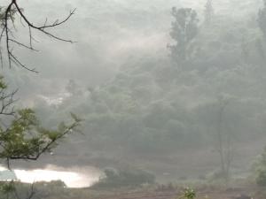 seagull resotel formerly forest inn