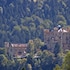 hotel waldmann
