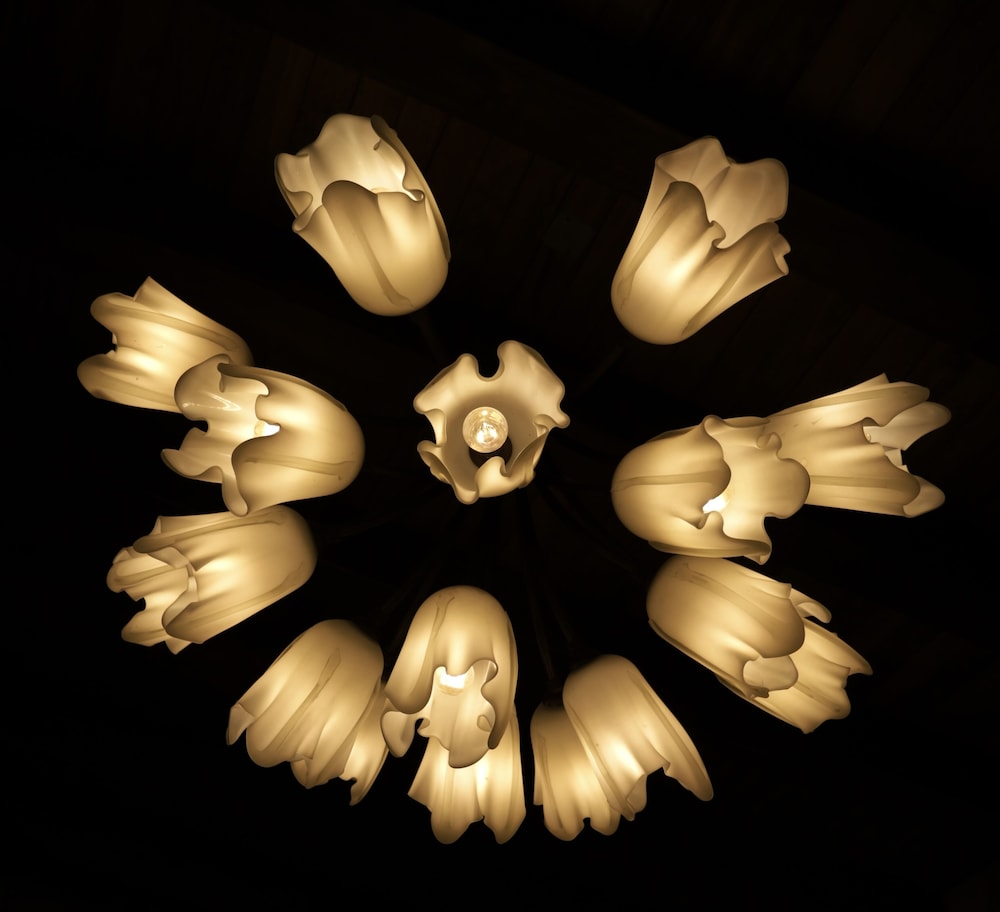 hotel morelia boutique villa italia