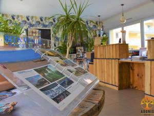 adonis grandcamp les isles de sola