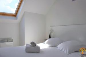 adonis grandcamp les isles de sola