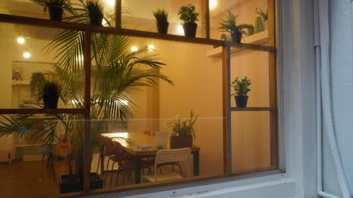 hannahstay women only guesthouse