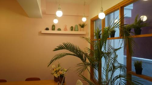 hannahstay women only guesthouse