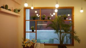 hannahstay women only guesthouse