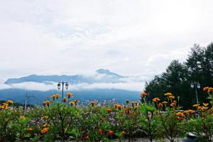pyeongchang jayeonel dalmeunjip