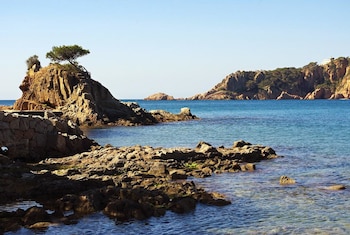 castell platja daro