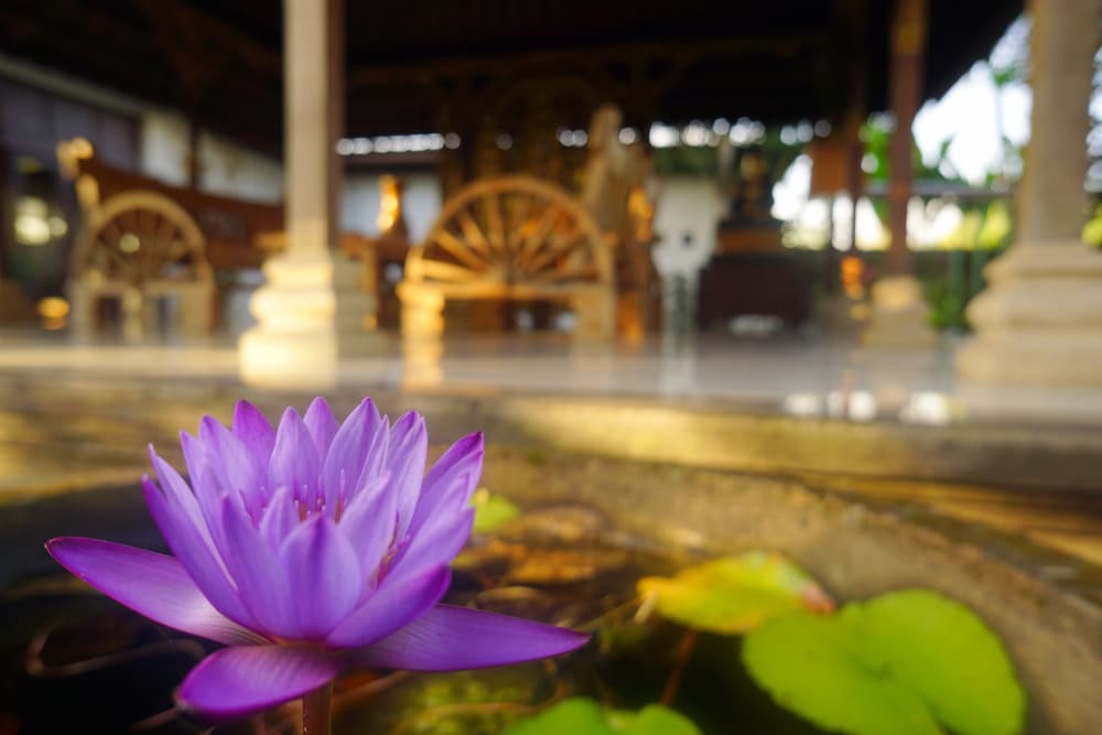 villa annapurna bali
