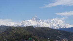 hotel mountain view