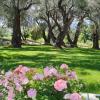 corfu
