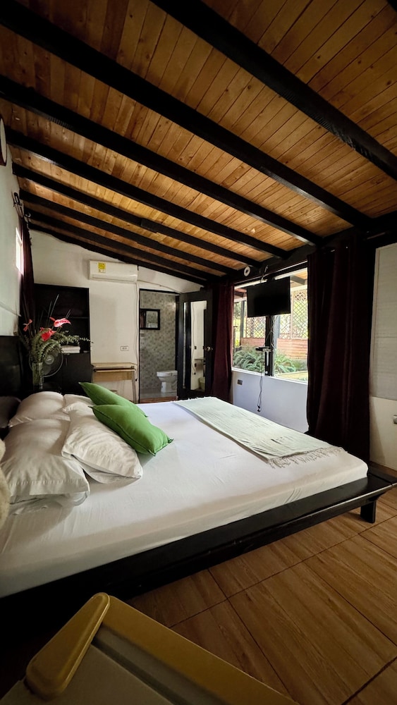 ayenda 1257 premium real