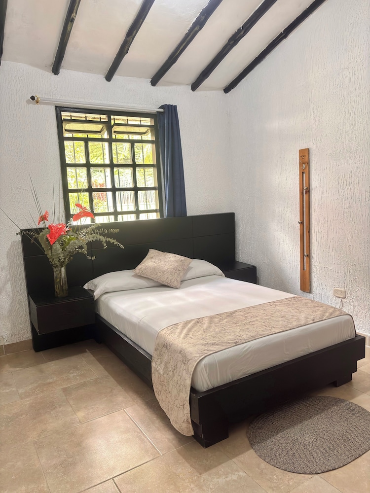 ayenda 1257 premium real