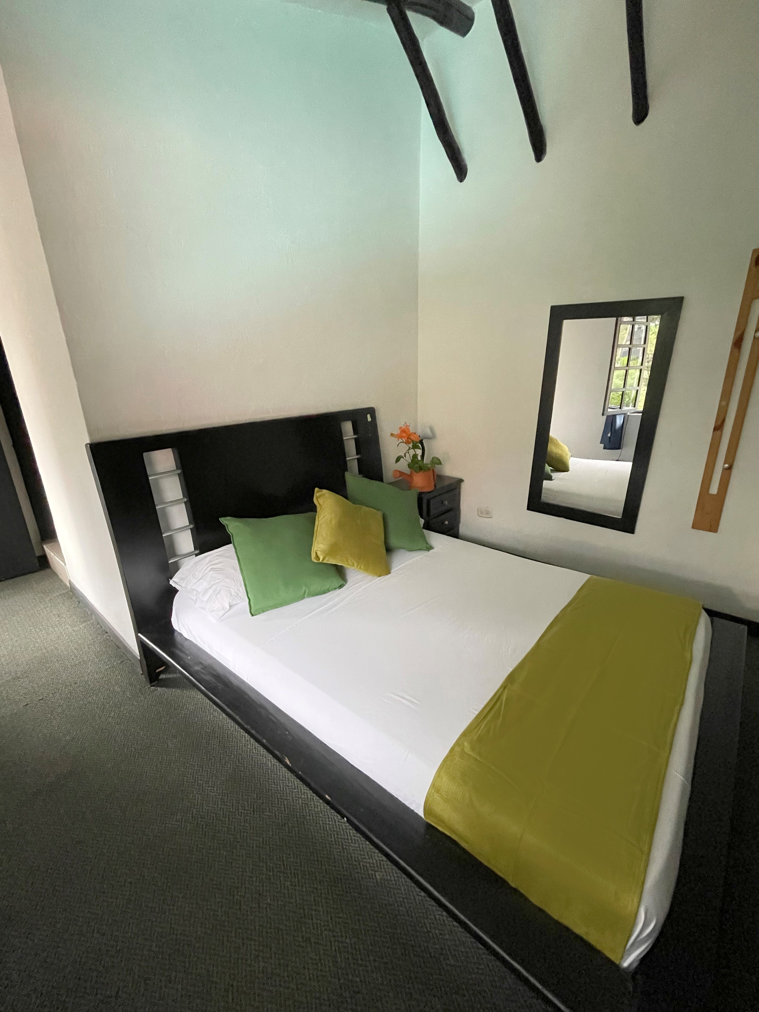 ayenda 1257 premium real