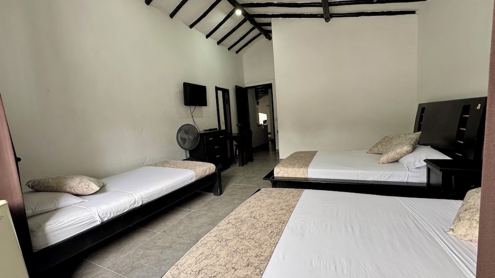 ayenda 1257 premium real