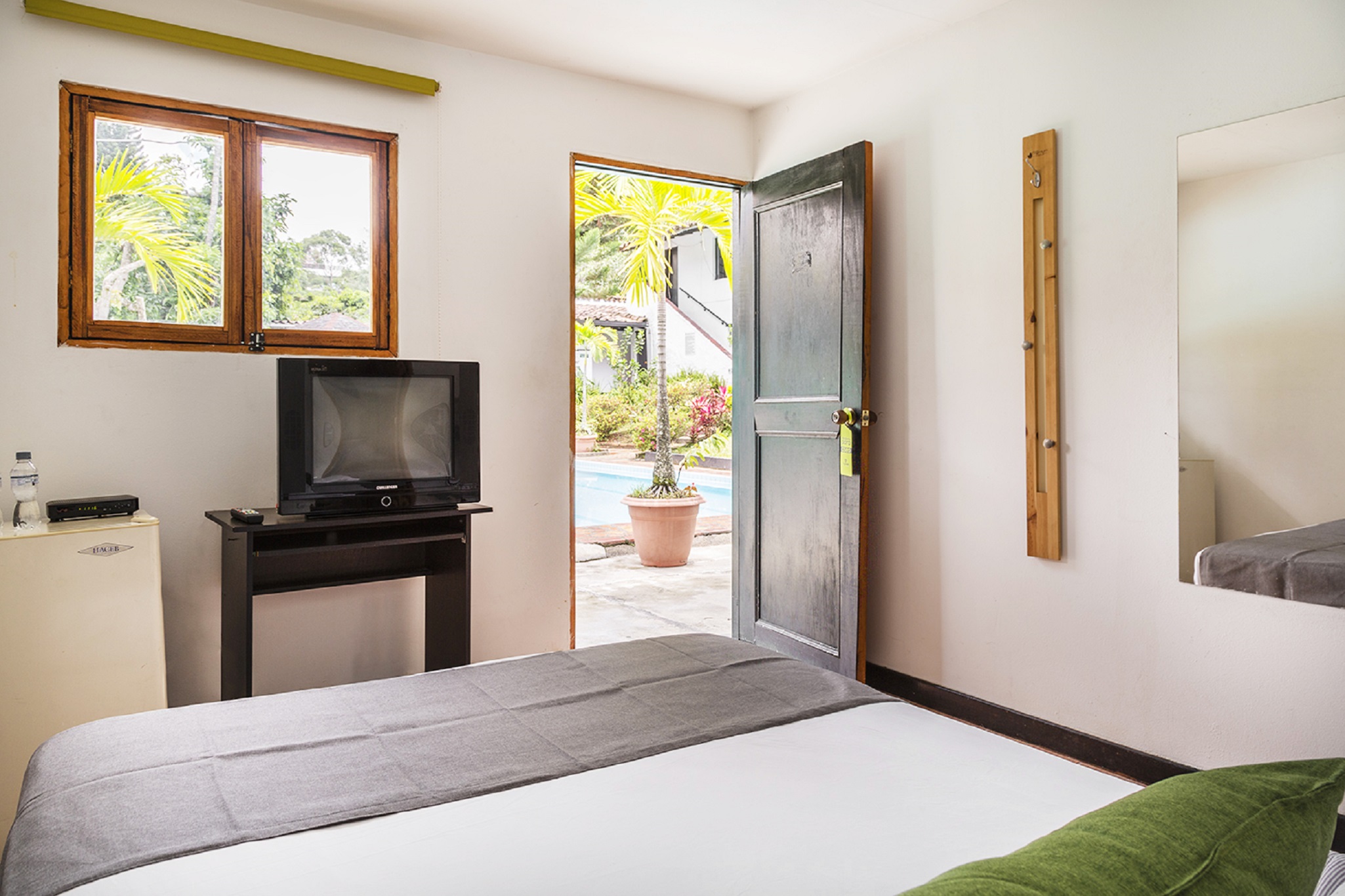 ayenda 1257 premium real