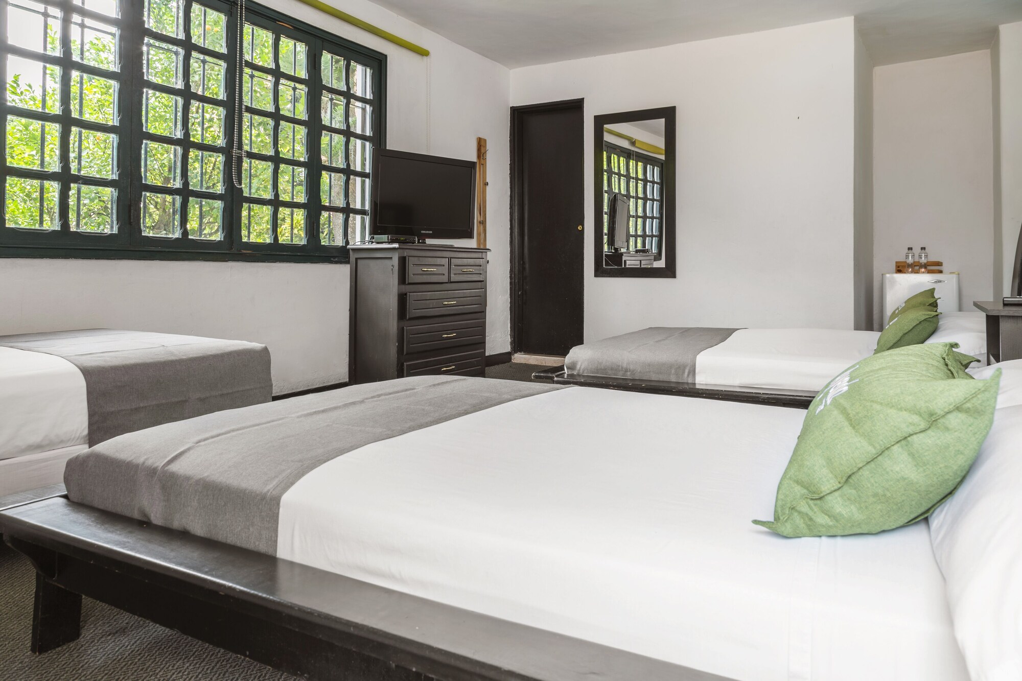 ayenda 1257 premium real