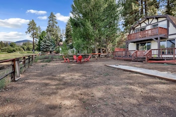 bear cabin 1976