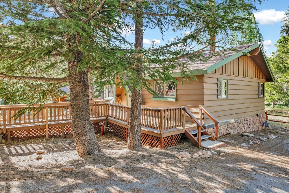 sunny bear cabin 1970