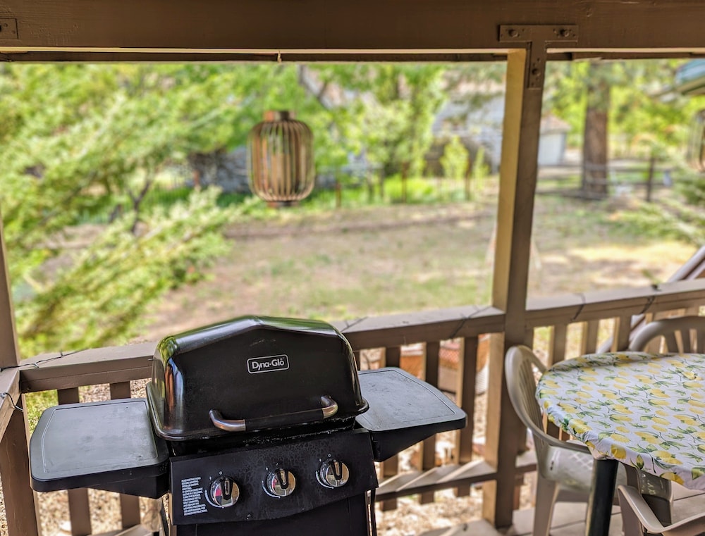 sunny bear cabin 1970