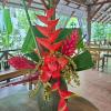 finca ardilla jungle lodge