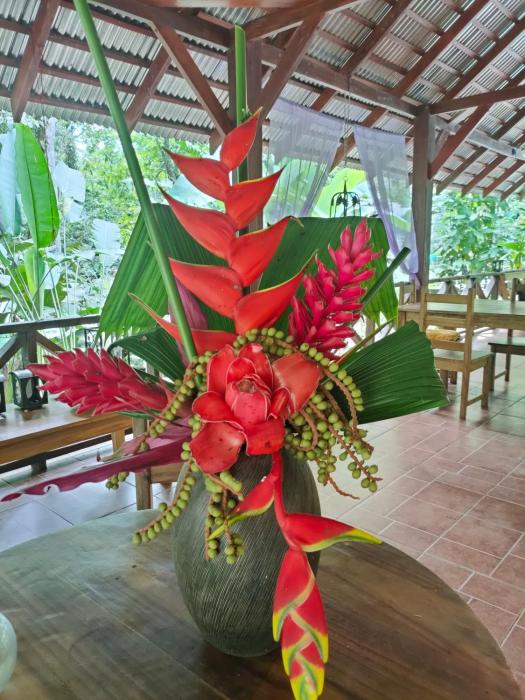 finca ardilla jungle lodge