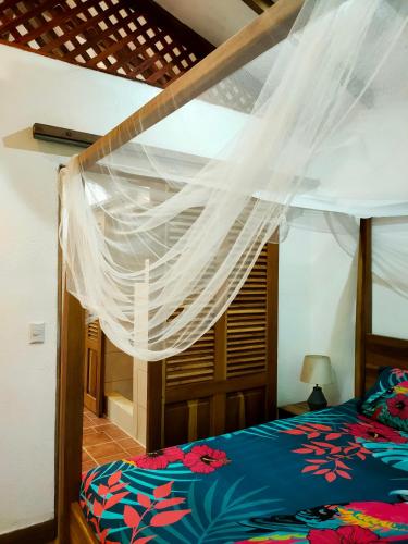 finca ardilla jungle lodge