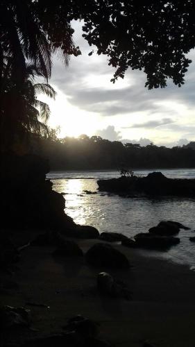 finca ardilla jungle lodge