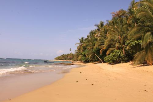 finca ardilla jungle lodge