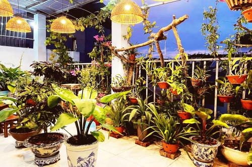 alley homestay