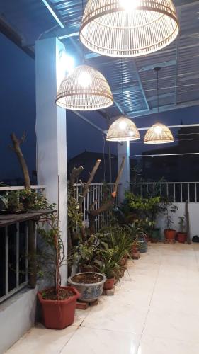 alley homestay