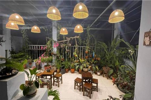 alley homestay