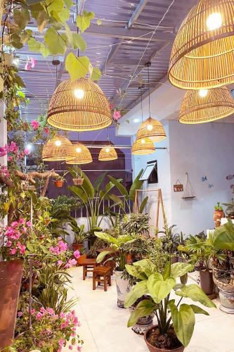 alley homestay