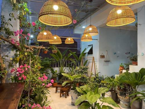alley homestay