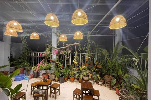 alley homestay