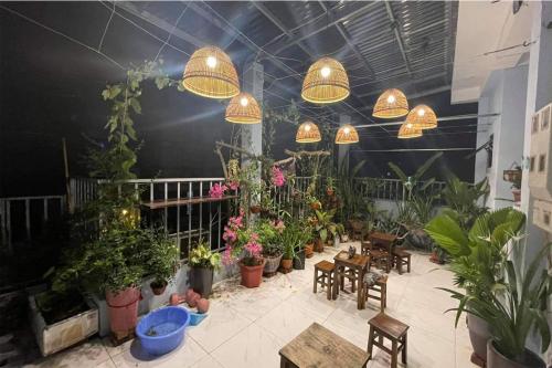 alley homestay