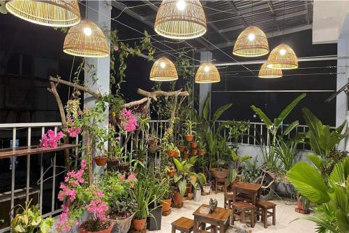 alley homestay