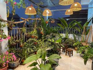 alley homestay