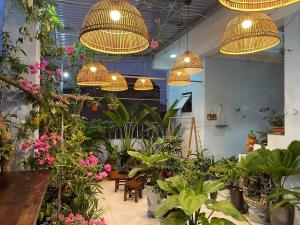 alley homestay