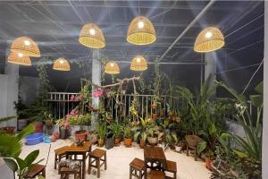 alley homestay