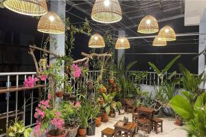 alley homestay