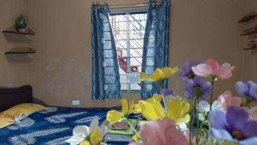 alley homestay